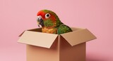 Curious parrot peeking out of a cardboard box against a pink backdrop