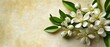 © SemangArt - White blossoms on beige. Floral spring card