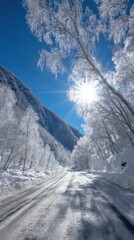 Poster - Winter road view with snow covered trees and mountain under blue sky in Norway landscape scenic perspective