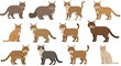 © Matthew - Wildcat Wonders: A Feline Family Portrait AI Generated