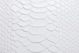 White snake Leather background texture