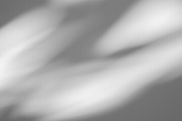 Poster - Wall interior background, studio and backdrops show products.with shadow from window color white and grey. background for text insertion and presentation product	
