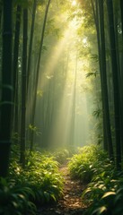Poster - Serene Path Through Lush Bamboo Forest Bathed in Golden Sunlight.