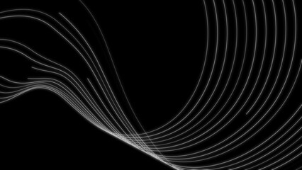 Fototapete - Grey abstract curved wavy lines on the black background