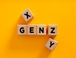 © Cagkan - Wooden cubes composing the acronym gen z with generation x and y aside on yellow background