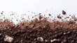 © Abdul - Close-up view of dark brown soil and cocoa powder scattered on a white background, creating a textured horizontal line