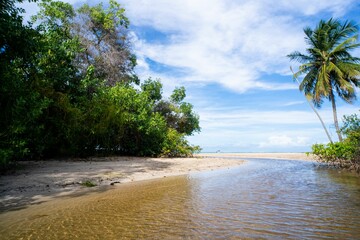 serene tropical beach scene