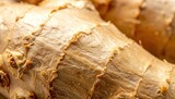 Harvesting fresh horseradish root local farmers market food photography outdoor close-up culinary uses