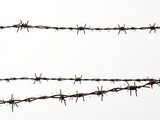 Sharp Barbed Wire Silhouette Against White Background