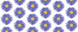 © Oxana - Seamless pattern with daisies, blue purple flowers on white background.