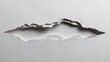 © tong2530 - Minimalist layout featuring torn paper sheet with uneven edge across the middle, isolated on white background, conceptual use for storytelling or dramatic visuals
