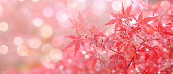 Wall Mural - Soft Focus Red Maple Leaves with Bokeh Background in Autumn Foliage View Delicate and Dreamy