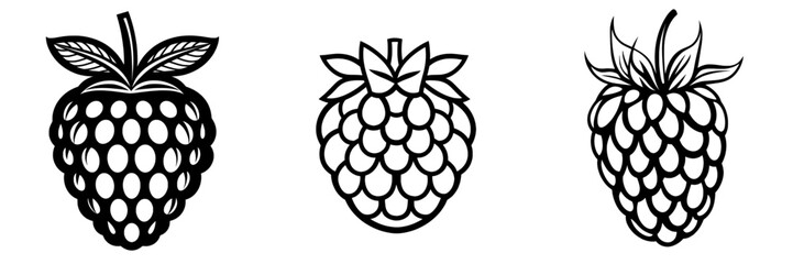 Modern illustration presents raspberry fruit in a continuous line art drawing style with a minimalist black linear sketch set against a white background