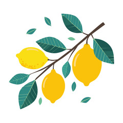 Lemons on a branch vector illustration flat. Image of a branch with yellow citrus fruits and leaves. For packaging and design.	
