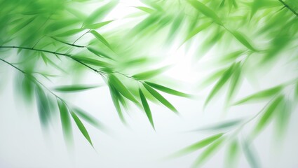 Wall Mural - softly blurred bamboo twig on a white surface