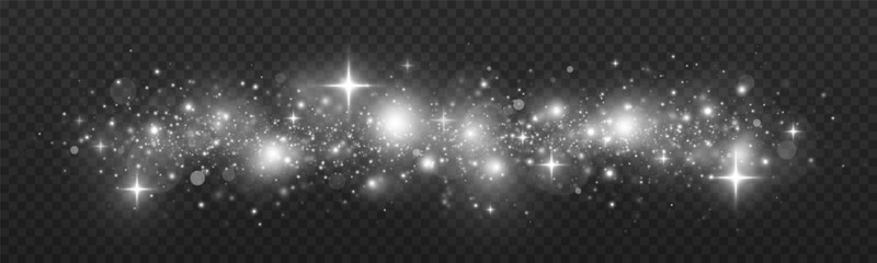 Wall Mural - magical particles of dust on transparent background. blurring bokeh effect with sparks . christmas l