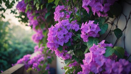Wall Mural - massive and stunning vine