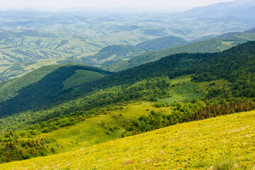 Wall Mural - beautiful view in to the valley from the mountain top. forested hillside of watershed ridge in dappl