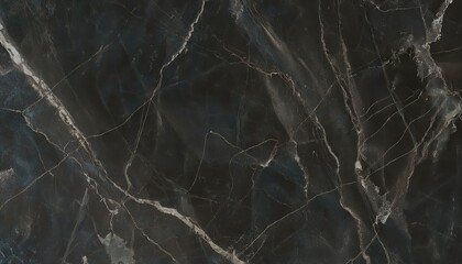 Poster - dark marble texture with white quartz veins and blue undertones for luxury branding, website background, modern packaging, and print media design

