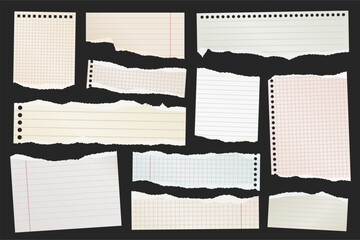 Wall Mural - Ripped paper strips. Realistic crumpled paper scraps with torn edges. Shreds of notebook, book or old newspaper pages. Trendy collage elements. Vector illustration