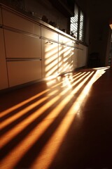 Poster - Sunlight through blinds in modern kitchen illuminating wood floor creating shadows and light pattern in home interior at golden hour