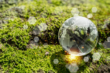 Wall Mural - Glass globe with digital world map network on green moss in forest, concept of sustainability and technology