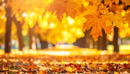 Poster - Autumn leaves on a park pathway.