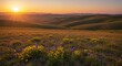© Kadang Kesel - Rolling Hills Meadow at Sunrise with Wildflowers