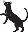 © Ayesha - black cat vector