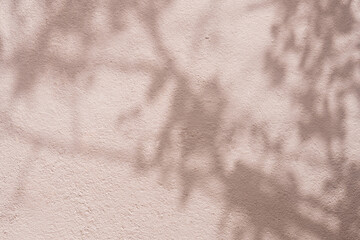 Poster - Brown wall background with shadow, light for Autumn banner,Studio shot with natural shadow leaf, sunlight overlay on concrete wall texture,Minimal abstract backgrounds in beige pastel in earth tone 