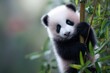 © The Little Hut - Adorable Baby Panda Climbing Bamboo, Symbolizing Conservation and Wildlife Preservation Efforts : Generative AI