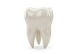 © Vooglo.com - 3D Illustration of Molar tooth isolated on white background in detailed 3d render