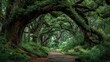 © Yuta - Mystical Forest Canopy: A Verdant Pathway Through Ancient Treescape