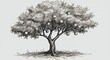 © AGUS - Monochromatic pencil drawing of a fruit tree