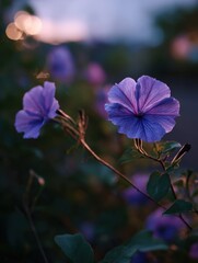 Aufkleber - Purple Morning Glories at Dusk, Symbolizing Natural Beauty and Floral Serenity for Wellness Campaigns : Generative AI