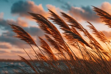 Aufkleber - Golden grasses sway gently at sunset by the shoreline, creating a tranquil and picturesque landscape