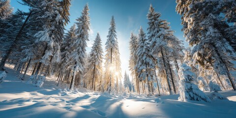 Aufkleber - Snowy Pine Trees in Winter Forest With Sunlight, Representing Holiday Season and Outdoor Adventure, Ideal for Travel and Tourism Marketing Campaigns : Generative AI