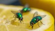 © 锴 张 - Macro close-up of multiple iridescent green and blue flies feeding on ripe fruit surface, highlighting insect details, hygiene risks, pest behavior, the natural interaction of bugs with food sources.