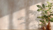 © Thai - A smooth plaster wall in soft beige with light flaring in from the left, emphasizing delicate shadow gradients across the surface 10284127 2