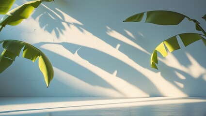 Wall Mural - wall texture background with banana leaves shadow