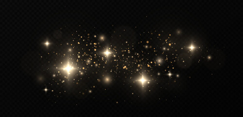 Wall Mural - sparkling space magical dust particles. christmas concept. golden confetti and glitter on black back