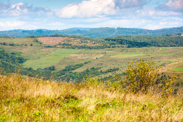 Wall Mural - mountainous countryside landscape on early autumn forenoon. scenery with field and meadows on the ro