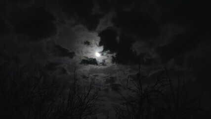 Wall Mural - Scary night with flying black clouds. Moon in moody sky above branches of trees without leaves. Moonlight shining through dark clouds on Halloween midnight. Night nature and gloomy skyscape