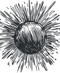 Wall Mural - black and white hand drawn sketch of a sun with radiant rays bursting outward in a vintage style
