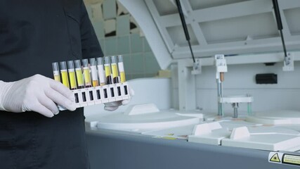 Wall Mural - medical scientist loading samples in robot machine for biochemical automatic testing blood laborator