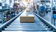 © MRSUTIN - Cardboard box moving along a conveyor belt in a factory or warehouse setting.