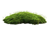 Green moss hill vegetation groundcover nature element terrain landscape ecology environment isolated on transparent background