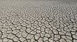 © Candice - Photo of Cracked Earth in Desert Drought