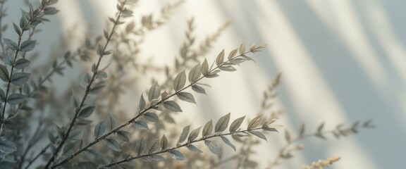 Poster - Serene Branches with Textured Leaves in Soft Sunlight