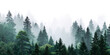 © David Kreuzberg - forest in the fog panorama view isolated on white or transparent png